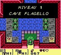 une photo d'Ã©cran de The Legend of Zelda - Link s Awakening DX sur Nintendo Game Boy Color